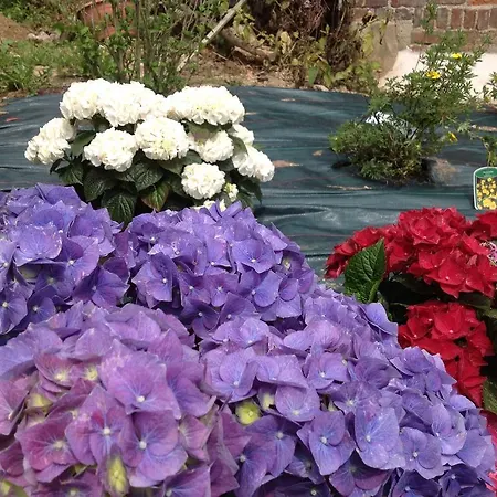 La Gourmandine 住宿加早餐酒店