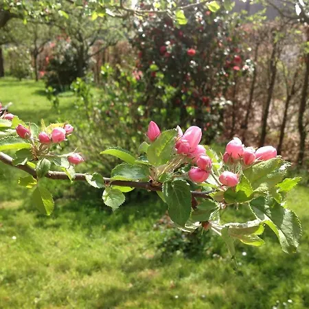 La Gourmandine 住宿加早餐酒店